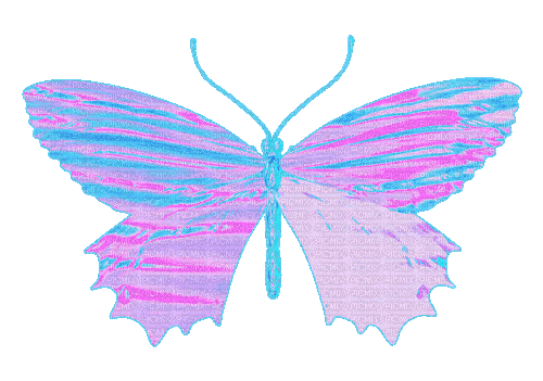 gif from kittykatluv65 on picmix